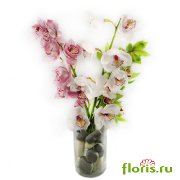 Орхидеи в вазе - /Floris.ru/