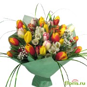 25 тюльпанов микс - /Floris.ru/
