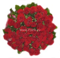 51 красная роза! - /Floris.ru/